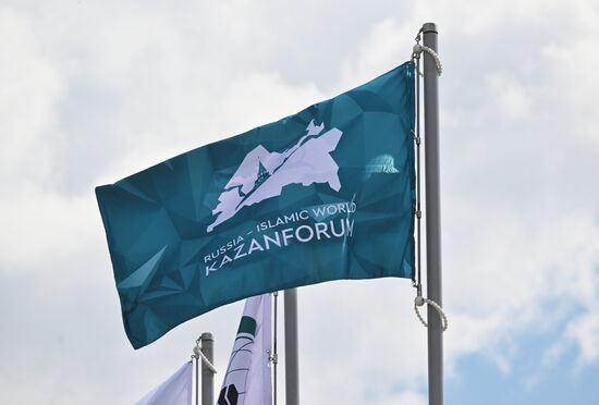 On the sidelines of the XVI International Economic Forum "RUSSIA - ISLAMIC WORLD: KAZANFORUM." Location: Russia, Republic of Tatarstan, Kazan. Author: Ilya Pitalev/Sputnik. "KAZANFORUM" 2025. On the sidelines