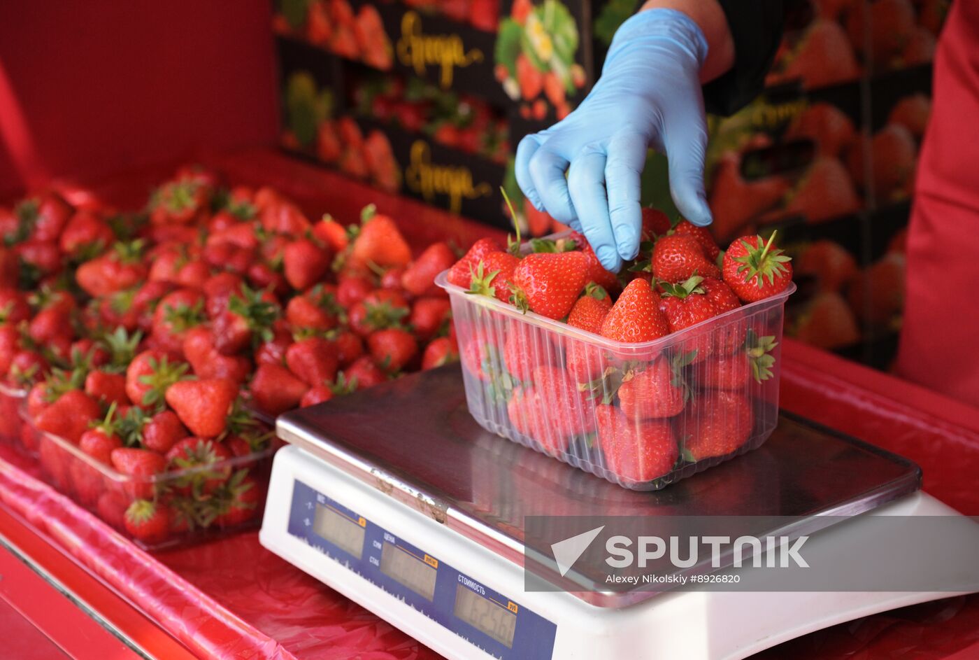 Russia Berries Selling