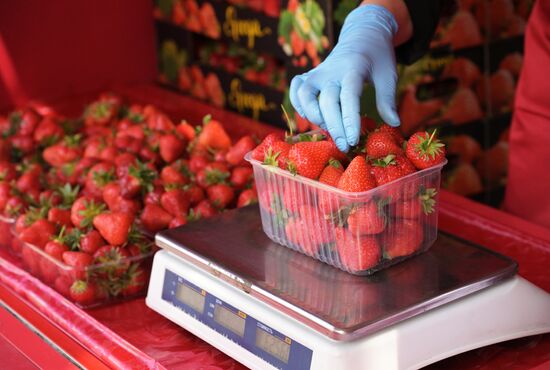Russia Berries Selling