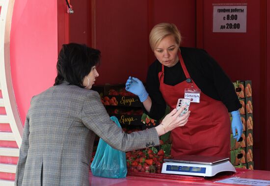 Russia Berries Selling