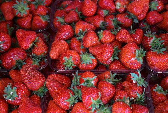 Russia Berries Selling