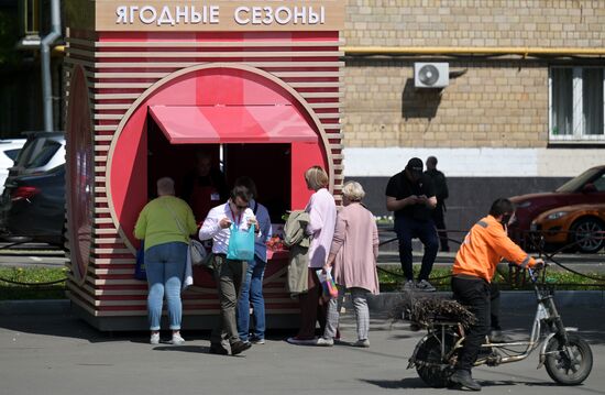 Russia Berries Selling