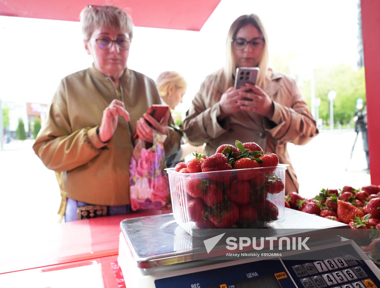 Russia Berries Selling