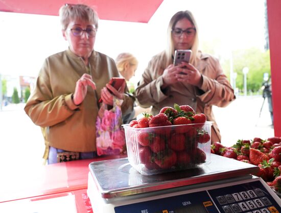 Russia Berries Selling