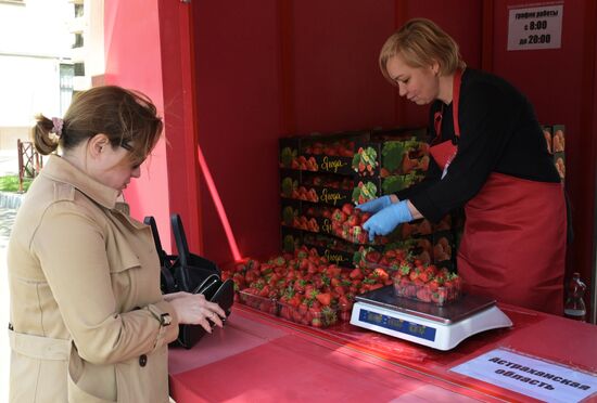 Russia Berries Selling