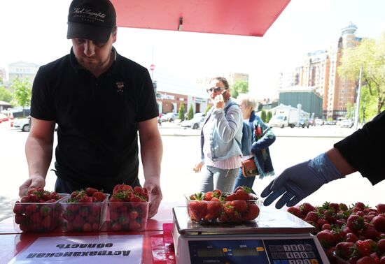 Russia Berries Selling