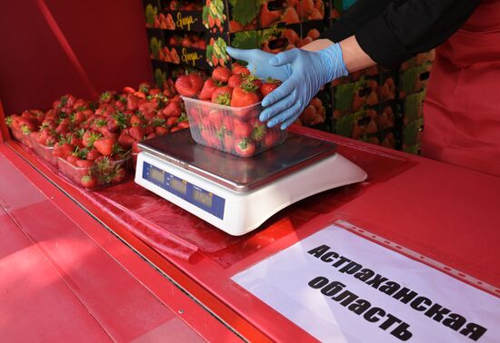 Russia Berries Selling