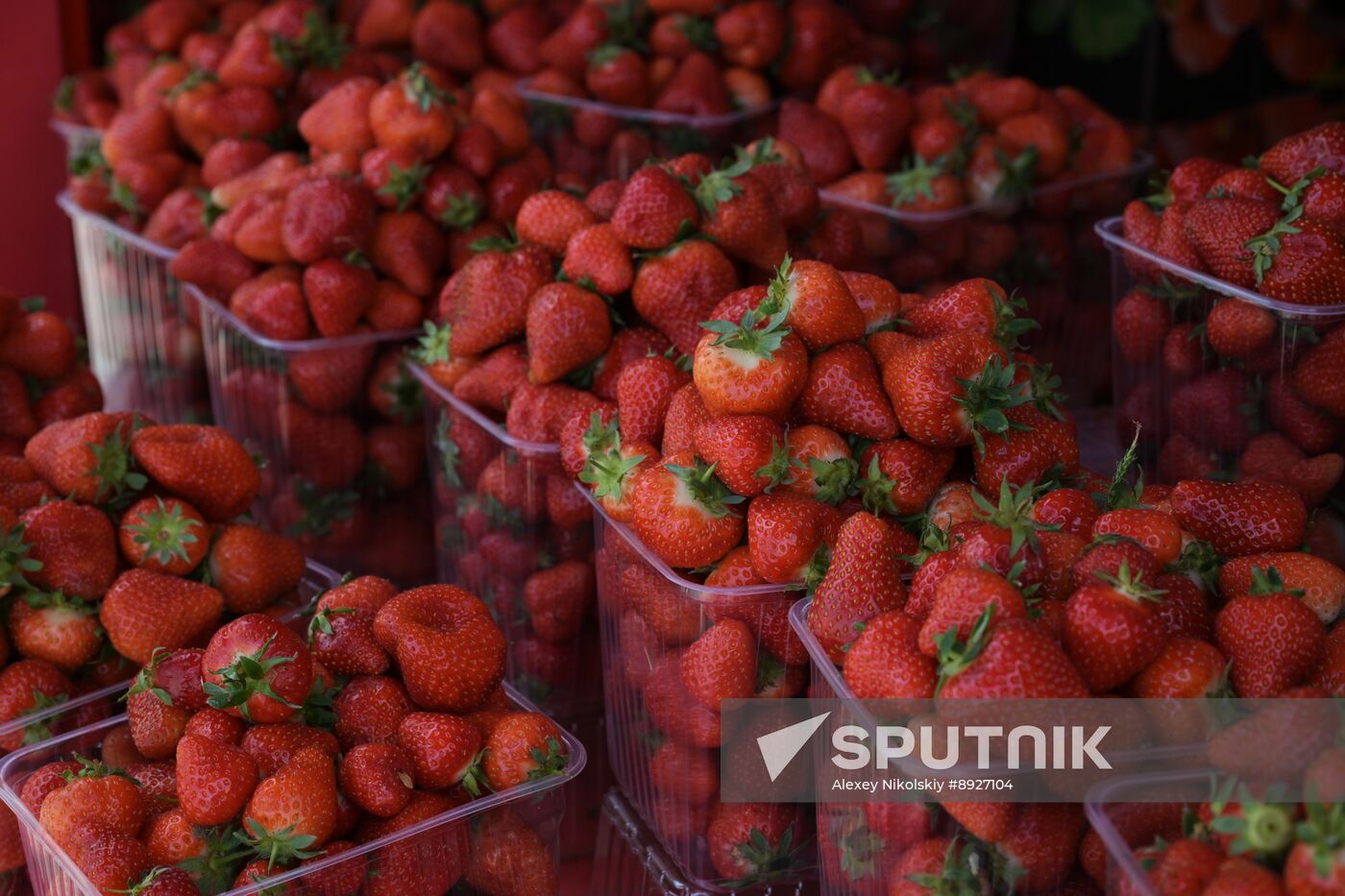 Russia Berries Selling