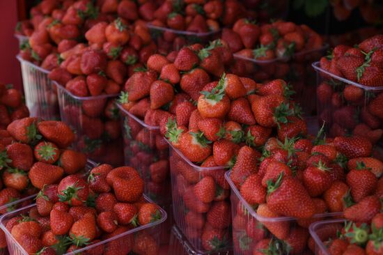 Russia Berries Selling