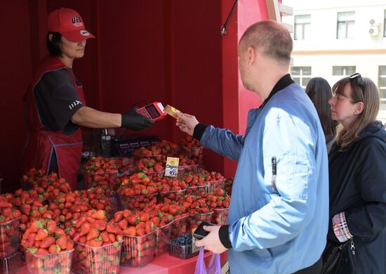 Russia Berries Selling