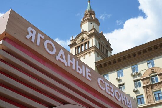 Russia Berries Selling
