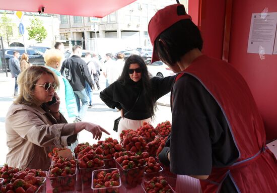 Russia Berries Selling