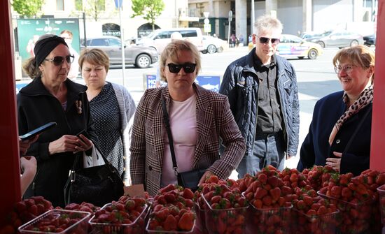 Russia Berries Selling