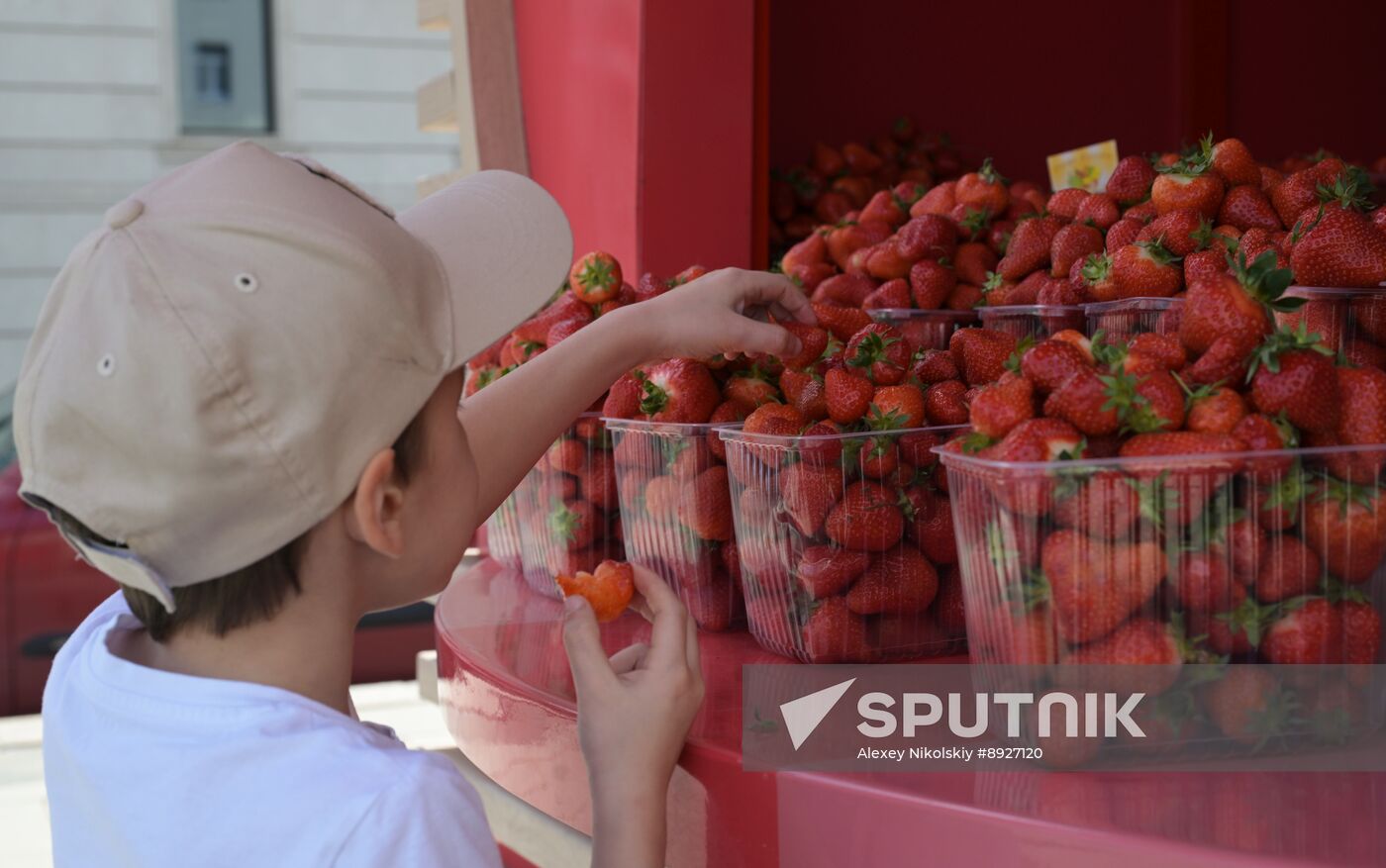 Russia Berries Selling
