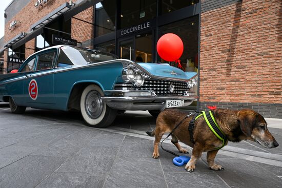 Russia Classic Car Rally