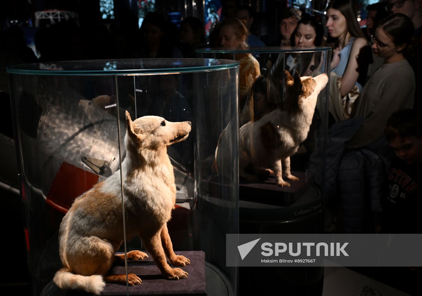 Russia Museum Night Event