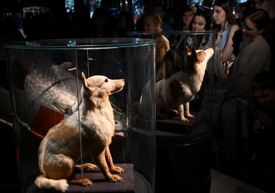 Russia Museum Night Event