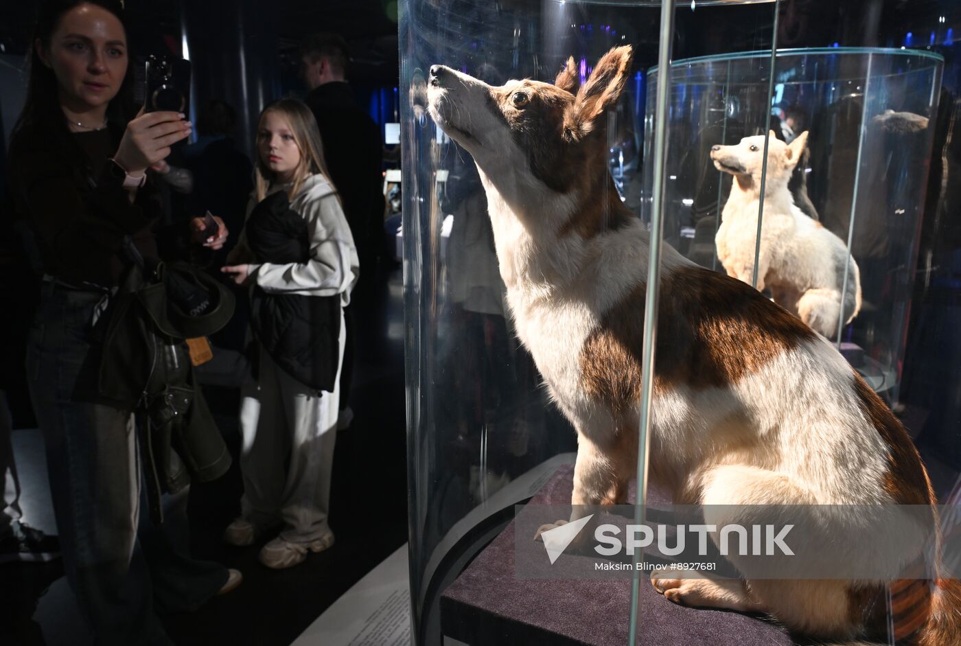 Russia Museum Night Event