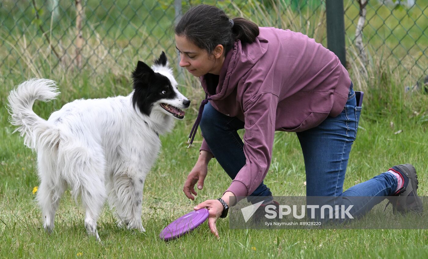 Russia Сynological Сompetition