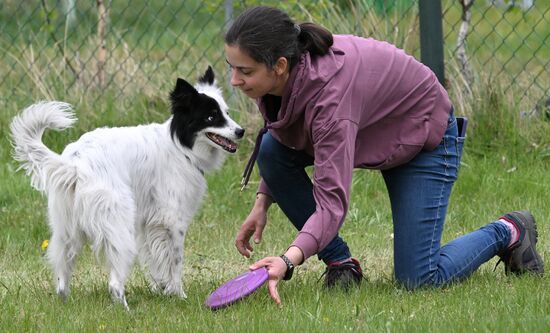 Russia Сynological Сompetition