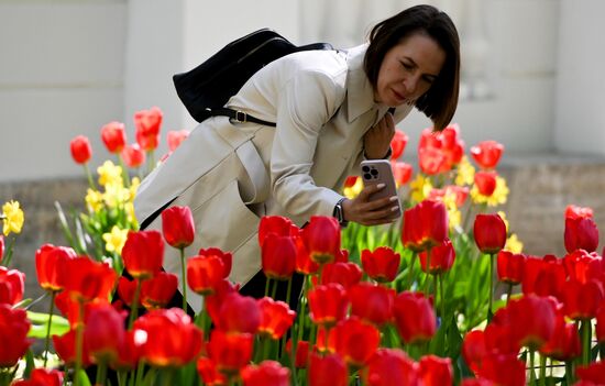 Russia Environment Tulips Festival
