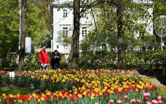 Russia Environment Tulips Festival