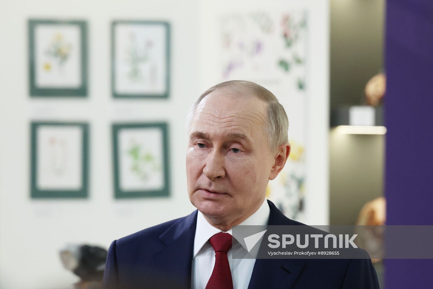 Russia Putin Southern Federal District