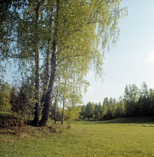Near Konstantinovo Village, Rybnovsky district, Ryazan Region
