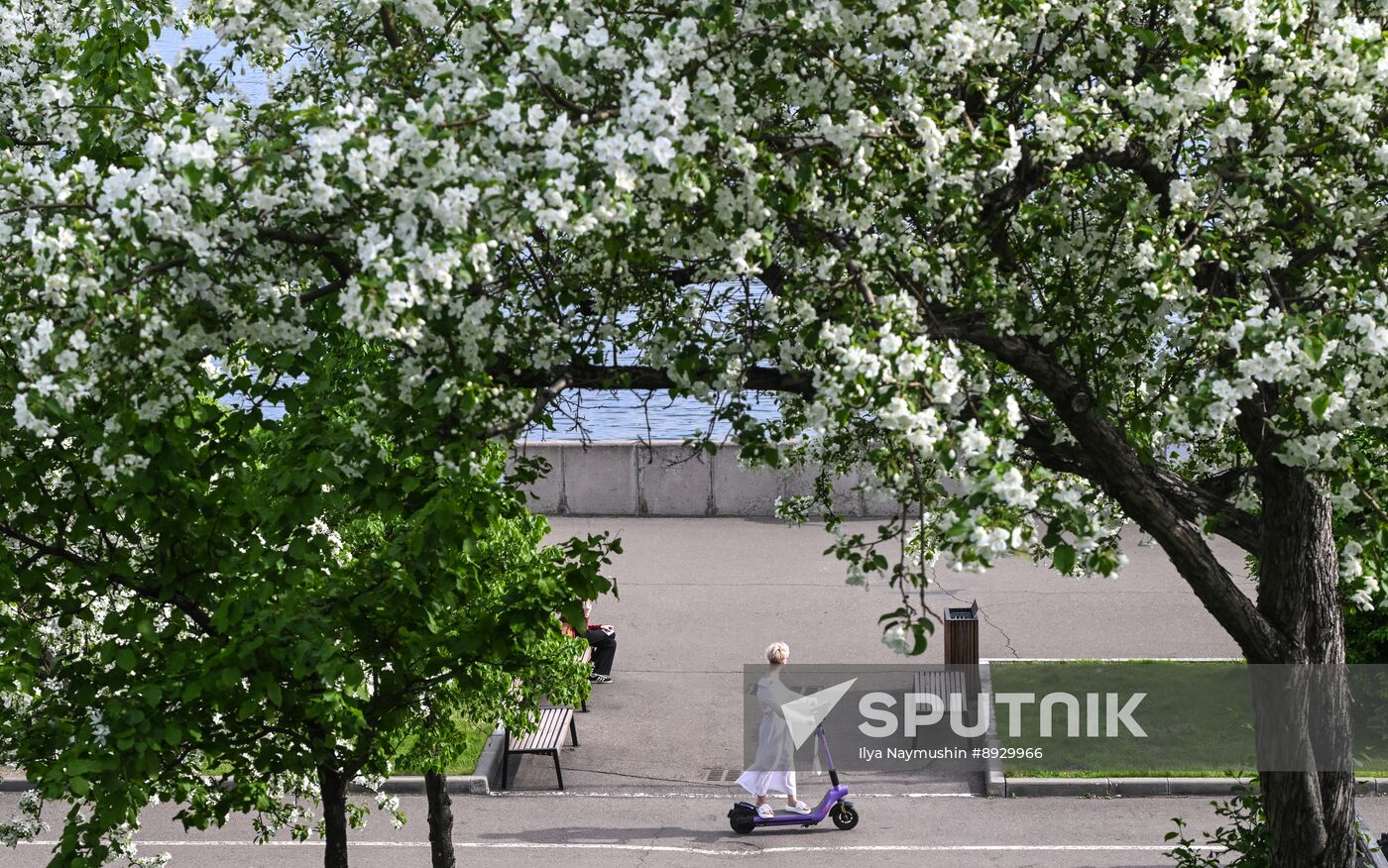 Russia Daily Life