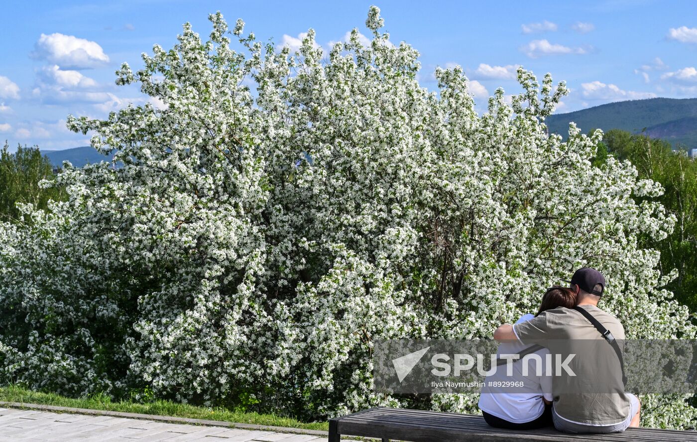 Russia Daily Life