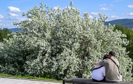 Russia Daily Life