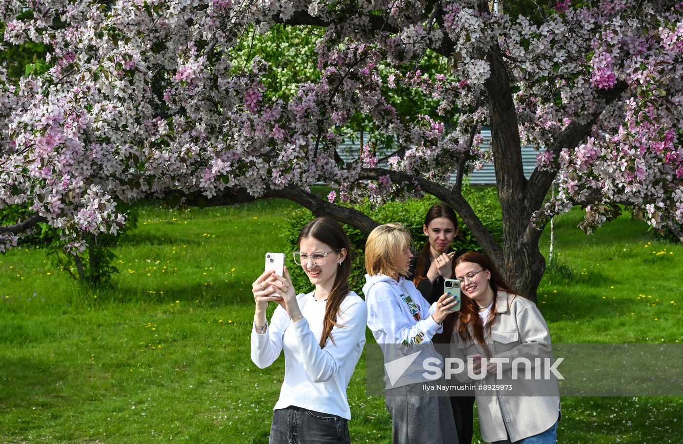 Russia Daily Life