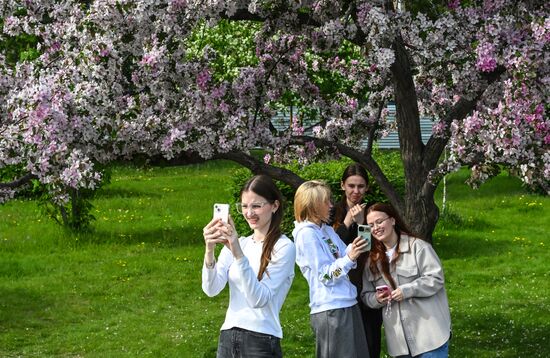 Russia Daily Life