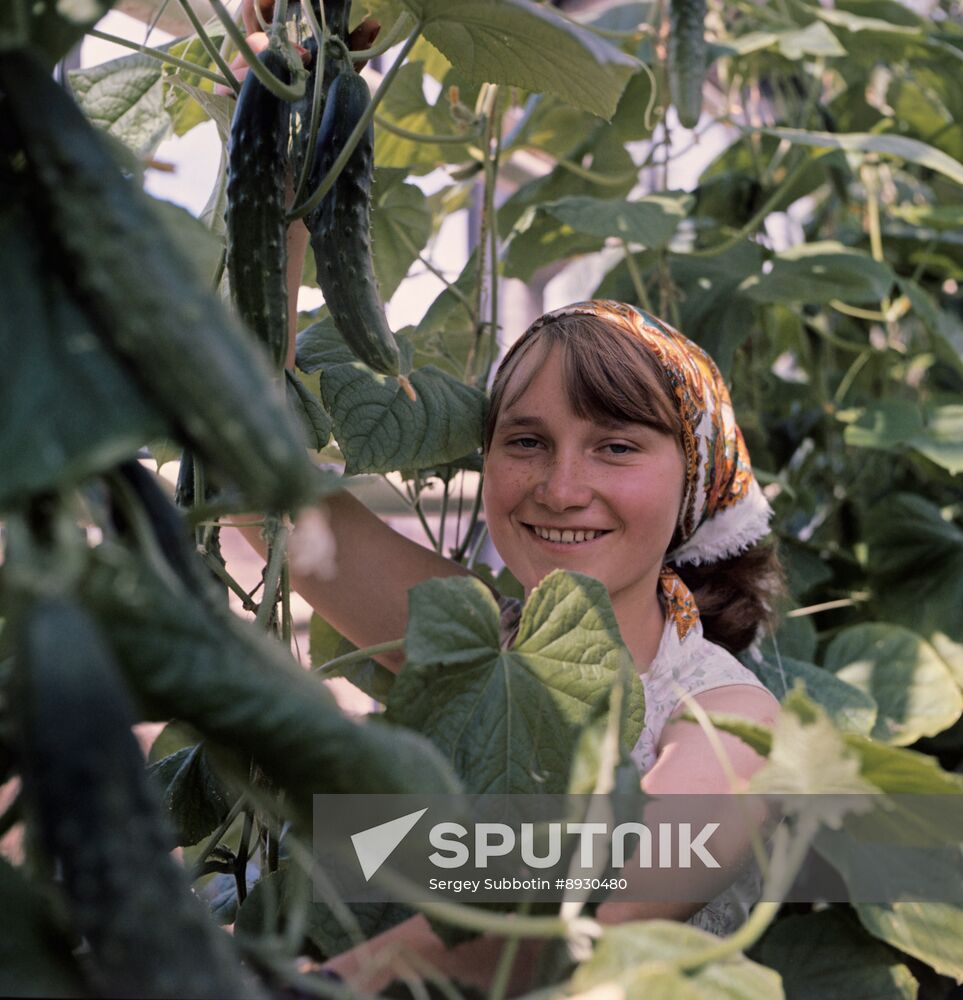 Private farm at Tetkovo holiday hotel