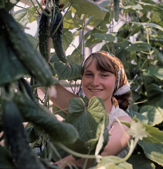 Private farm at Tetkovo holiday hotel