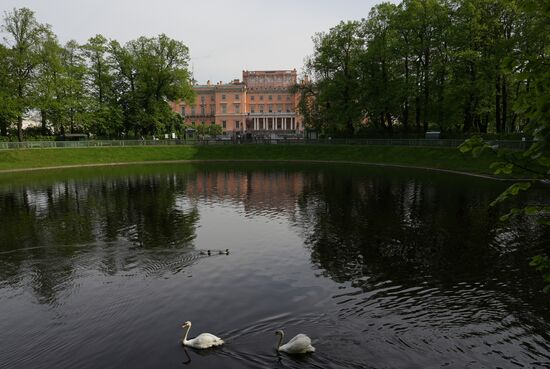 Russia Summer Season Swans Release