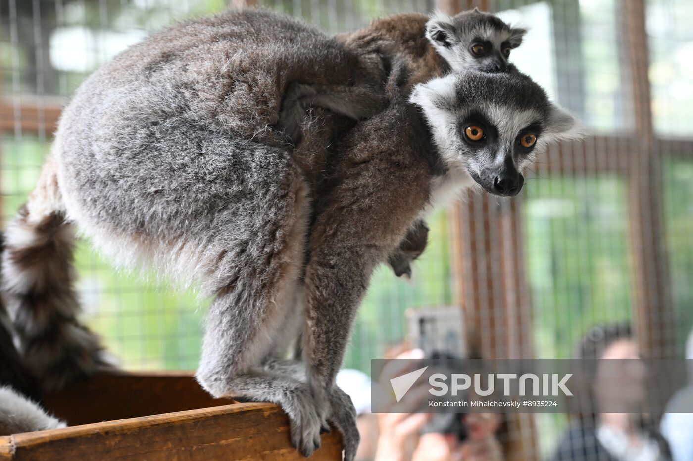 Russia Zoo