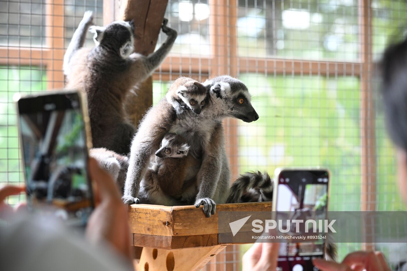 Russia Zoo