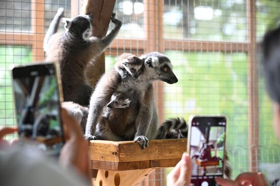Russia Zoo