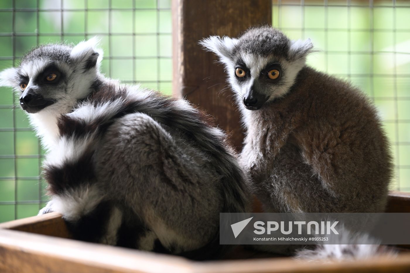 Russia Zoo