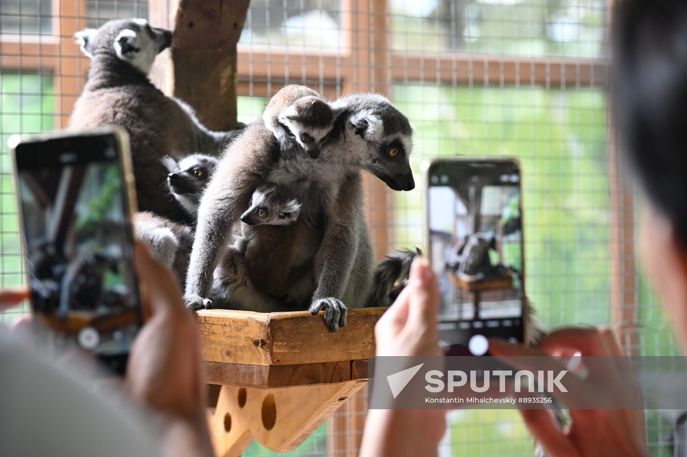 Russia Zoo