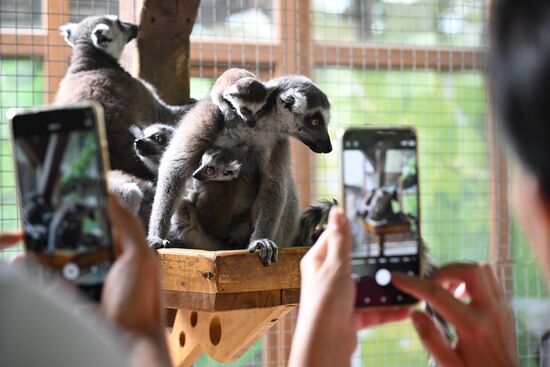 Russia Zoo