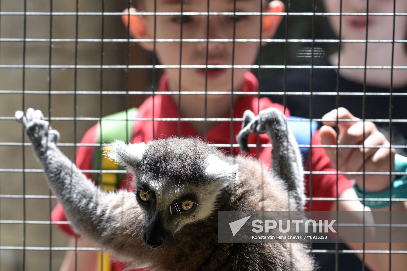 Russia Zoo