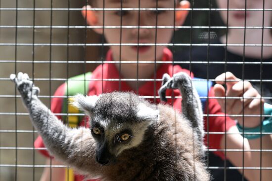 Russia Zoo