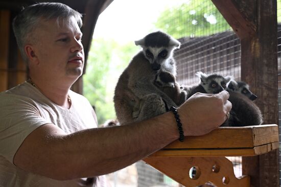 Russia Zoo