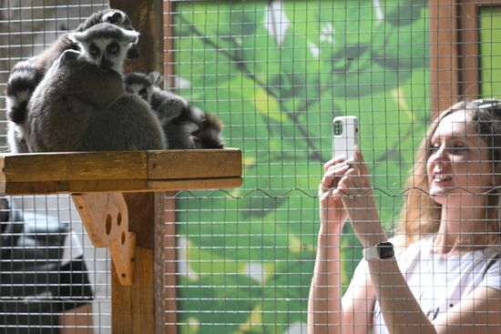 Russia Zoo