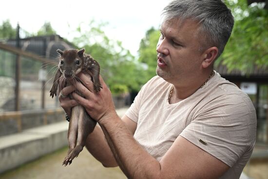 Russia Zoo