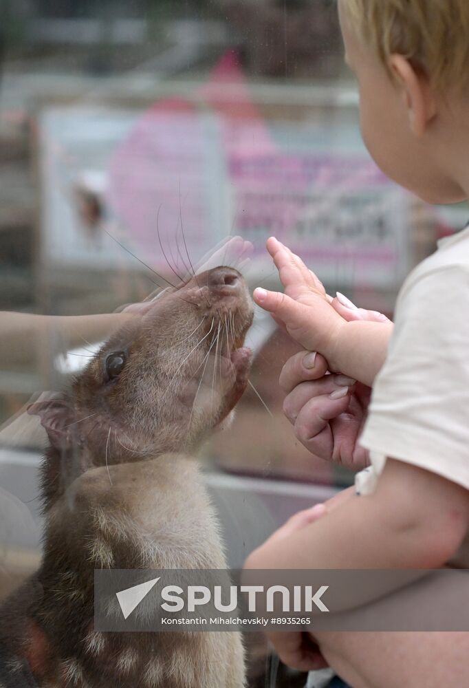 Russia Zoo