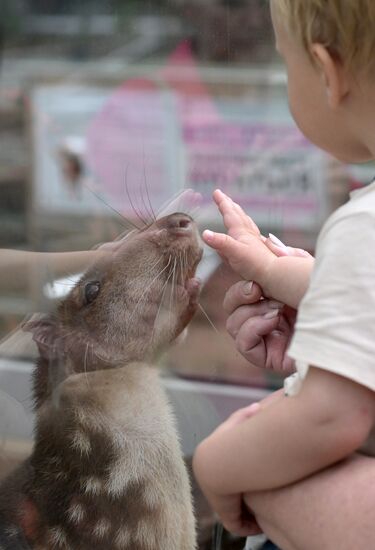 Russia Zoo