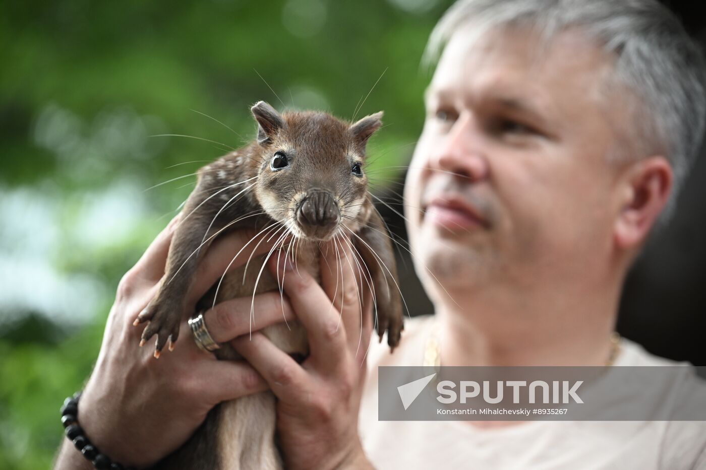 Russia Zoo